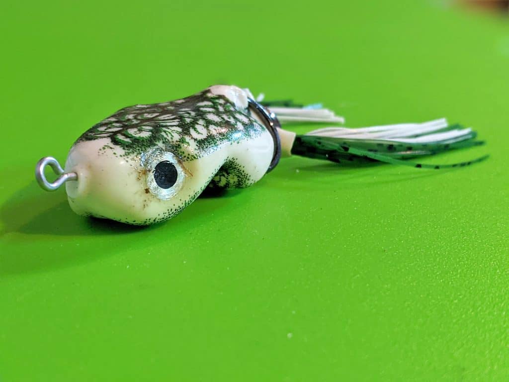 topwater frog lure for fishing