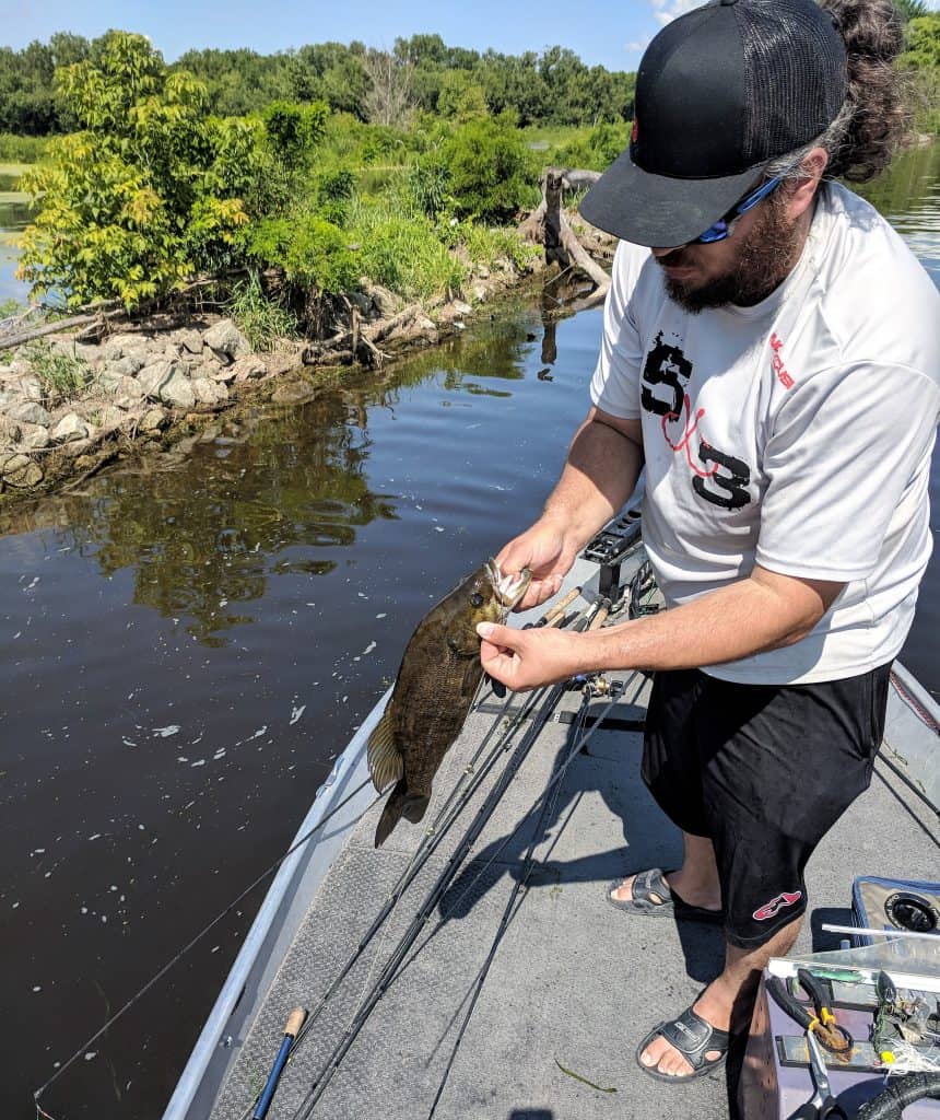smallmouth bass caught be angler on boat. unhooking bass from bait.