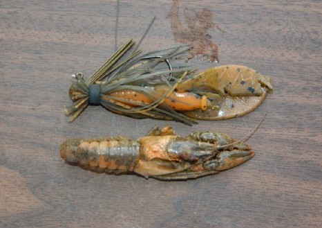 match the hatch bass fishing with crawfish baits