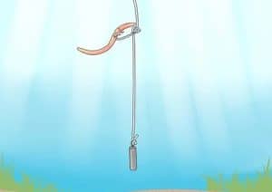 drop shot rig for bass