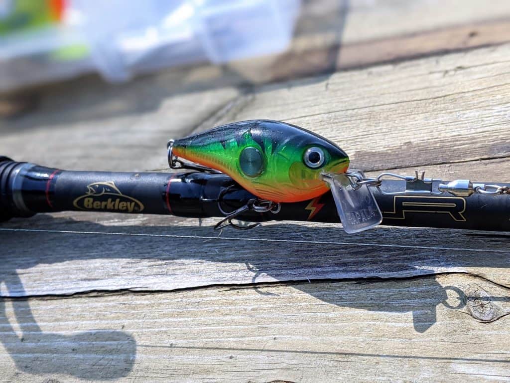 rapala clackin crank 53 crank baits for bass fishing rigged up on rod