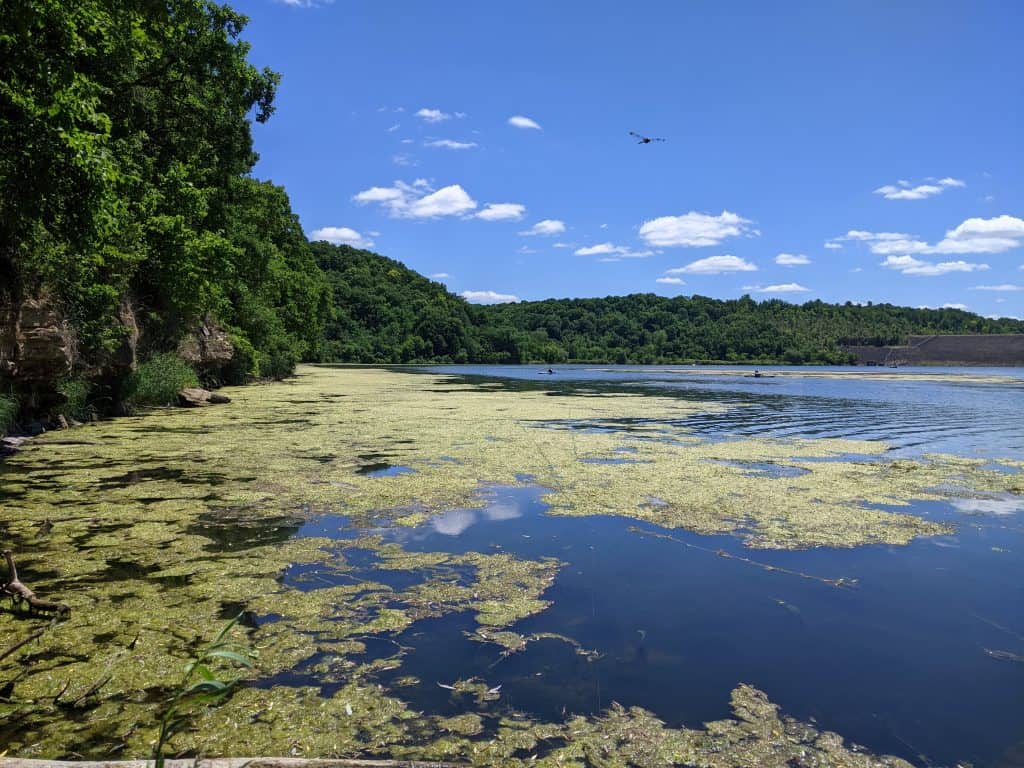bass fishing weeds and grass