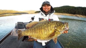 how to catch smallmouth bass