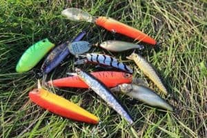 how to fish a lipless crankbait