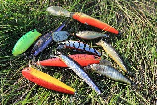 How To Fish a Lipless Crankbait Anytime: Lucky Tackle Box Tips