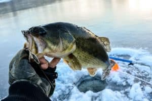 ice fishing for bass