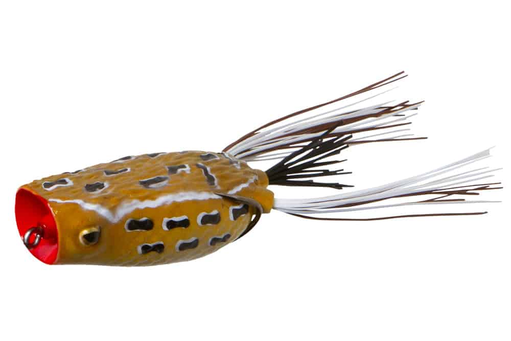 topwater frog lure zoom poppin frog