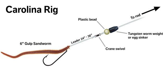 Carolina Rig Setup: What You Need To Know - Slamming Bass