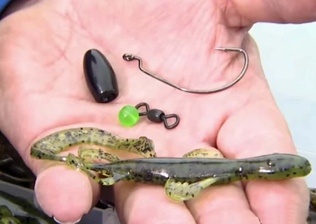 fishing carolina rig