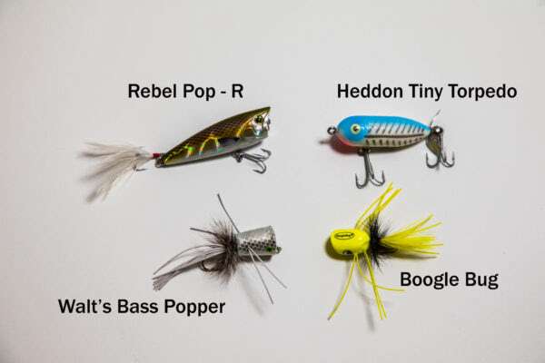 topwater lures for smallmouth during Fall