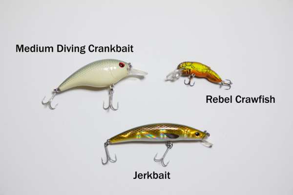 how to fish for smallmouth bass during late fall with these lures