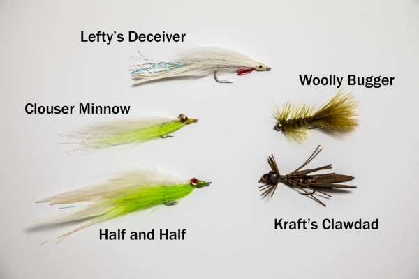 how to fish for smallmouth bass in late fall with these fly fishing baits