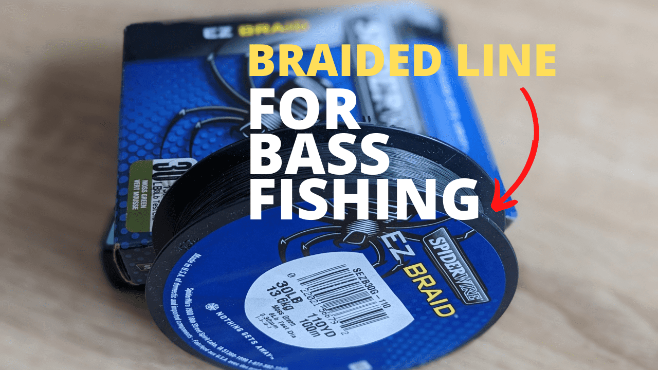 What are the best lines for bass fishing?