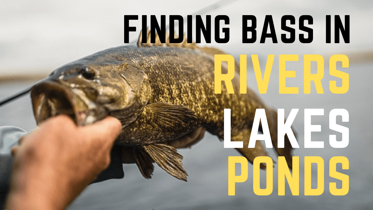 How To Find Bass In Rivers, Lakes, And Ponds Slamming Bass