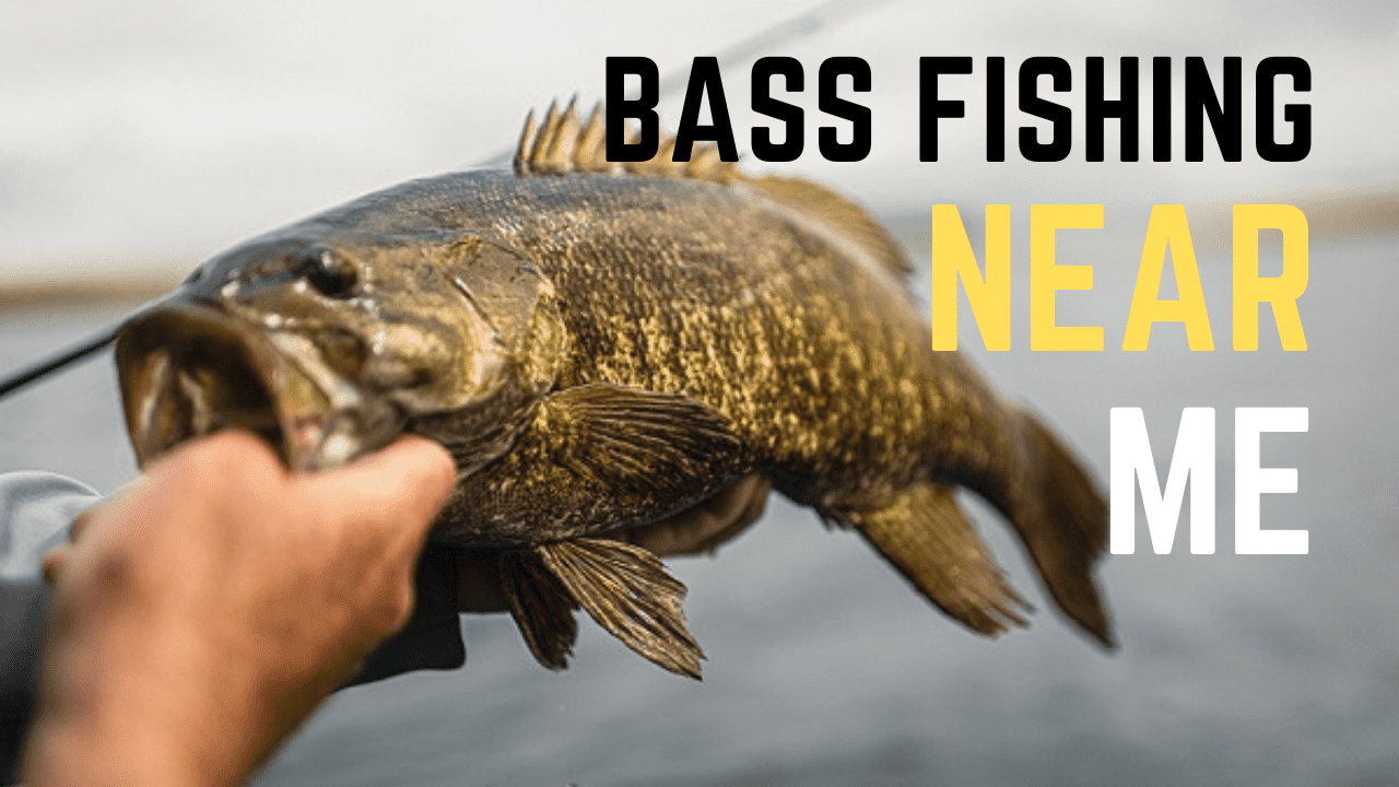 Bass Fishing Near Me Map & Top 7 Best Bass Lakes For 2024