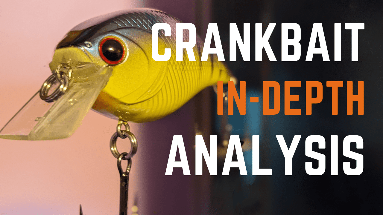 Crankbait Lures InDepth Analysis Of Structure & Techniques