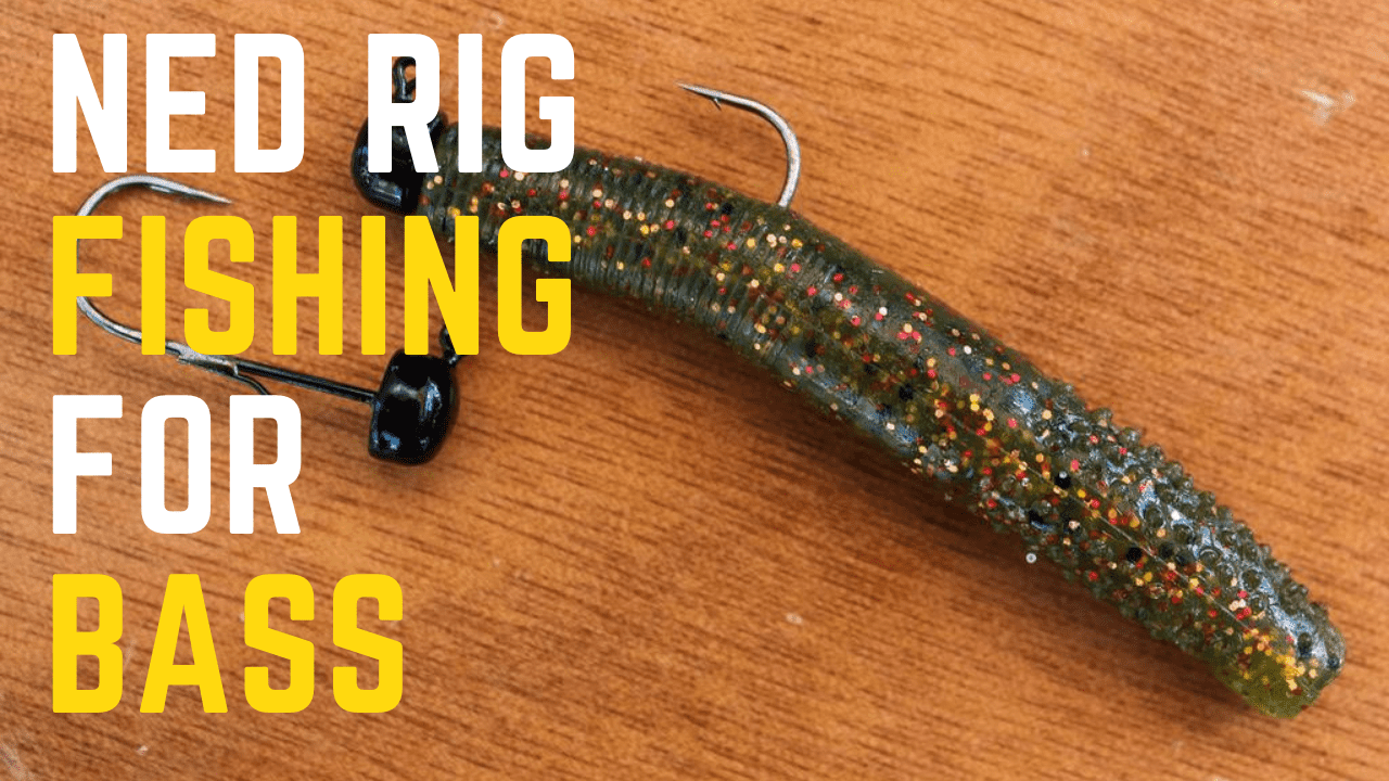 Ned Rig Fishing For Bass: An In-Depth Guide - Slamming Bass
