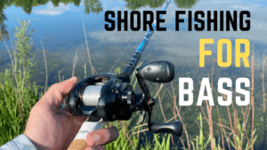 shore fishing for bass