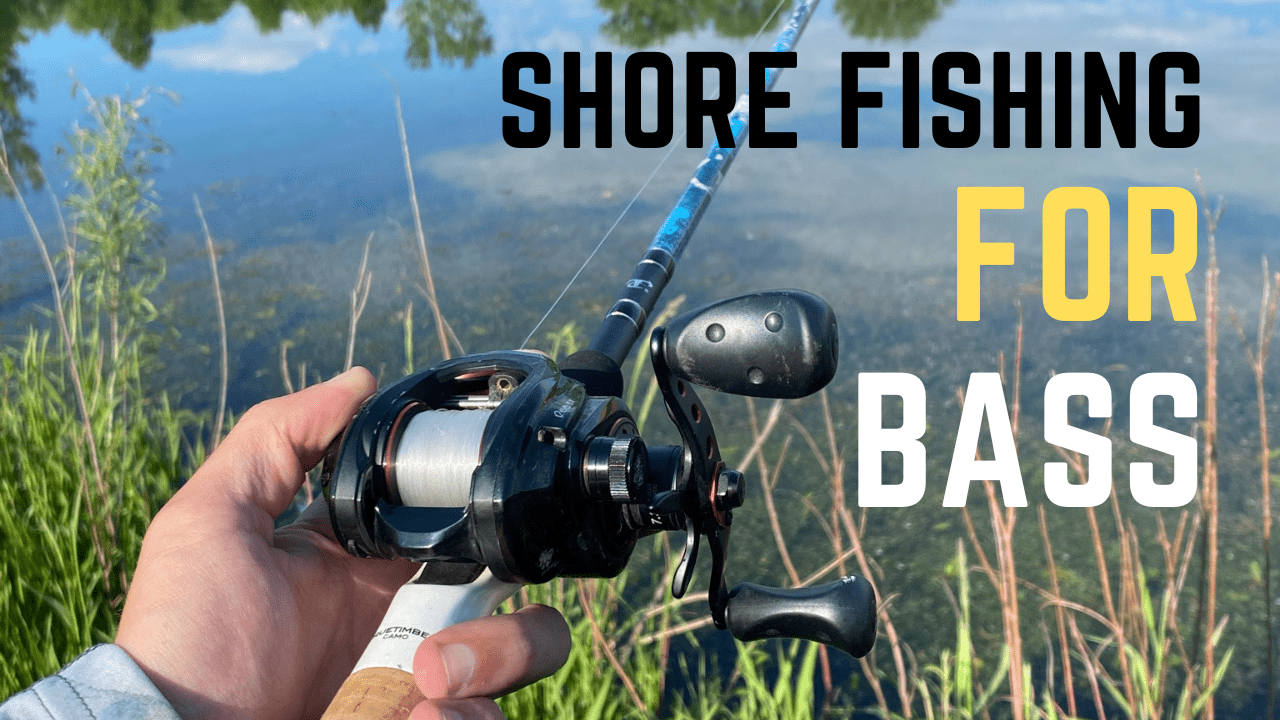 Shore Fishing For Bass Tips & Techniques For Success