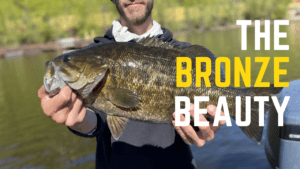 smallmouth bass the bronze beauty of bass fishing