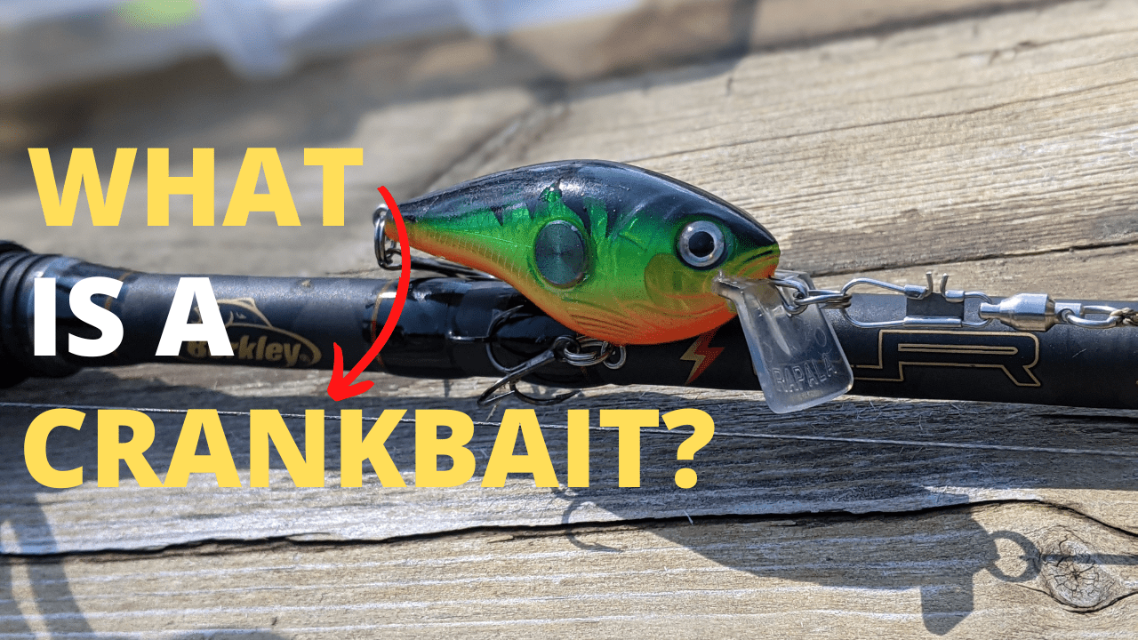 What Is A Crankbait Understanding The World Of Crankbaits