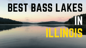 best bass fishing lakes in Illinois