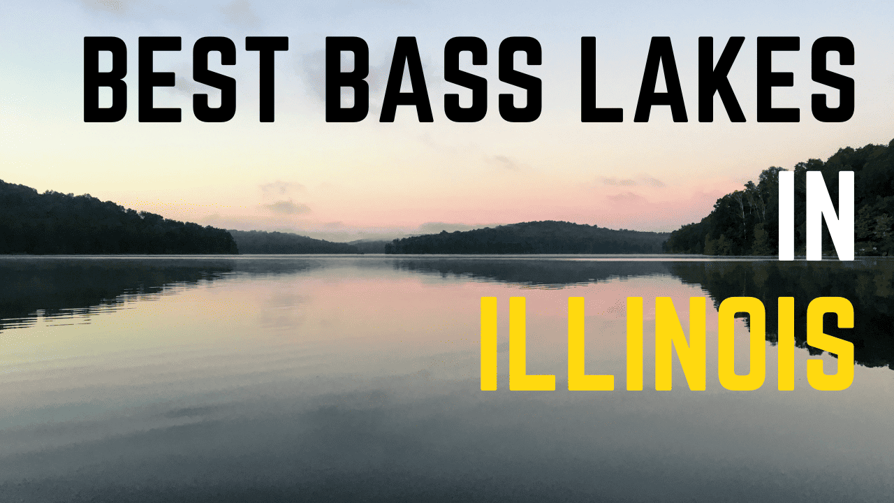The Best Bass Fishing Lakes In Illinois Slamming Bass