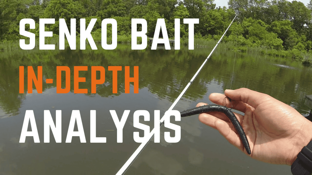 senko bait for bass fishing