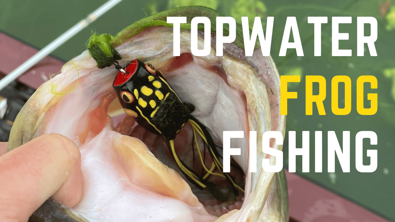 Topwater Bass Fishing: The Art Of Using Topwater Frog Lures