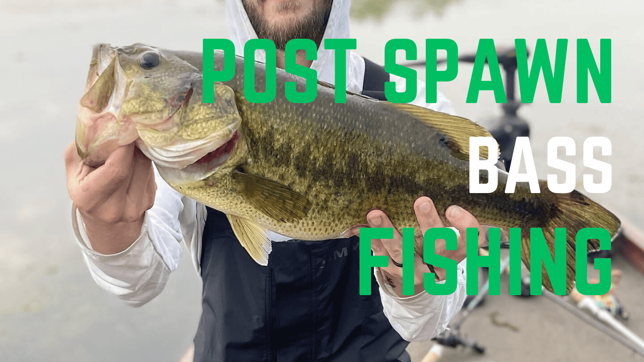 Unlocking The Secrets Of Post Spawn Bass Fishing