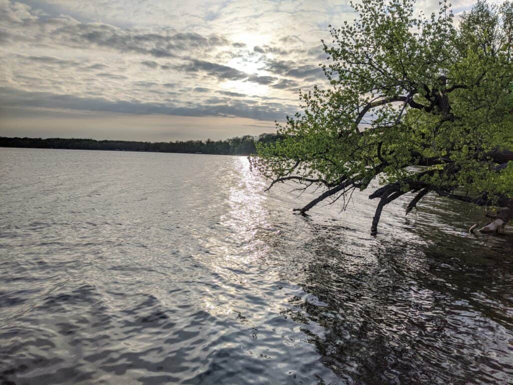 Fall transition bass fishing on a lake