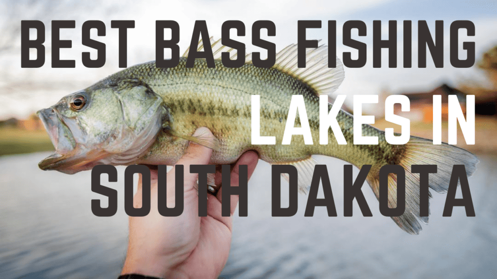best bass fishing lakes in South Dakota