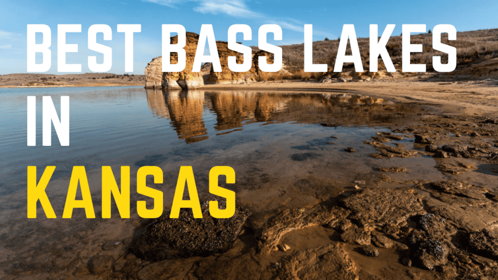best bass fishing lakes in Kansas