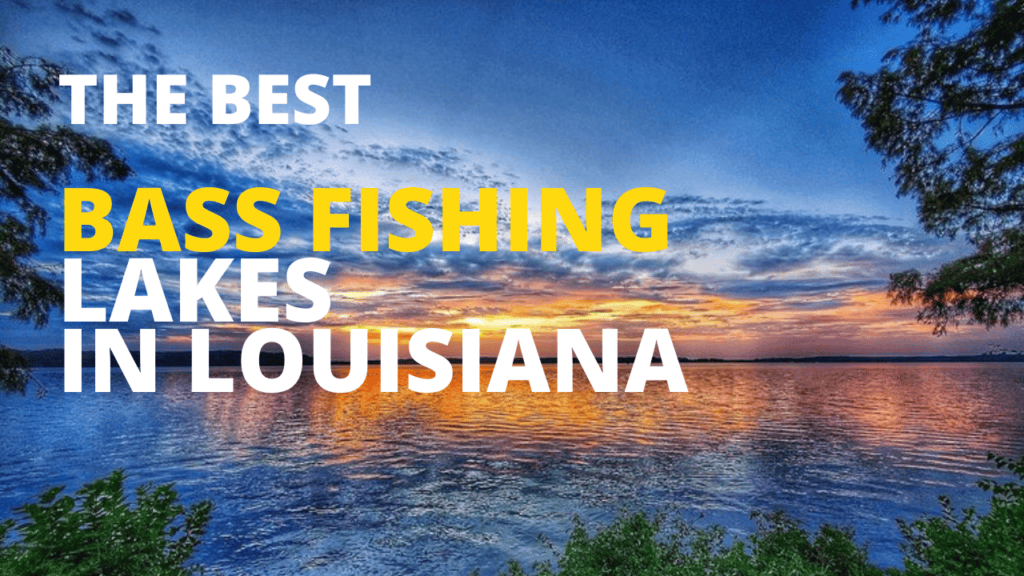 best bass fishing lakes in Louisiana