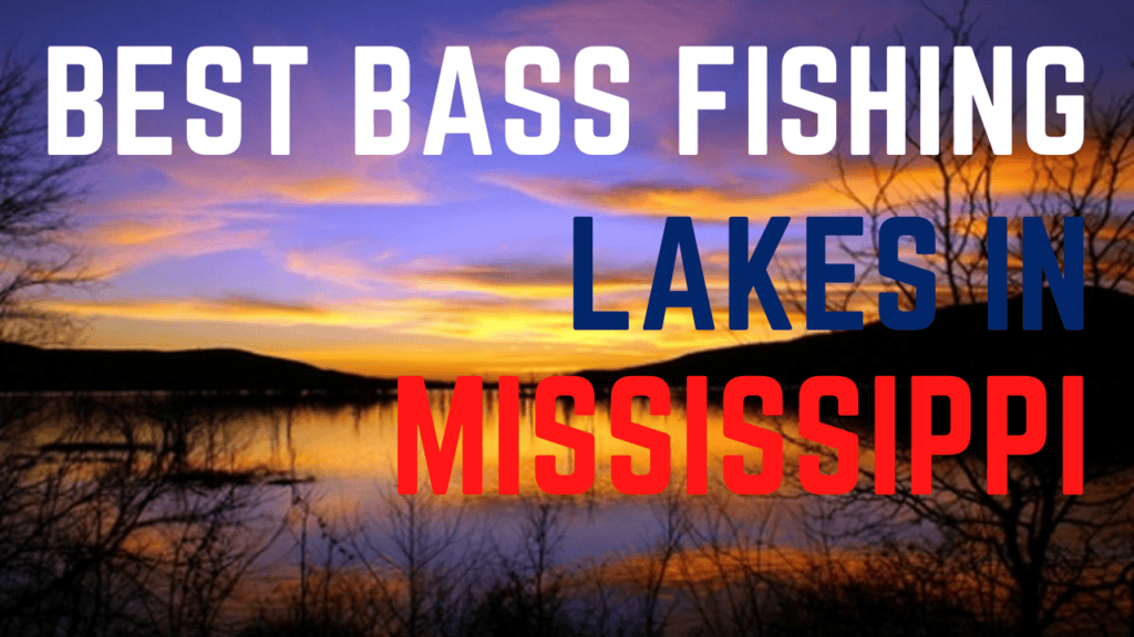 the best bass fishing lakes in Mississippi
