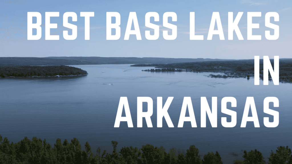 the best bass fishing lakes in Arkansas
