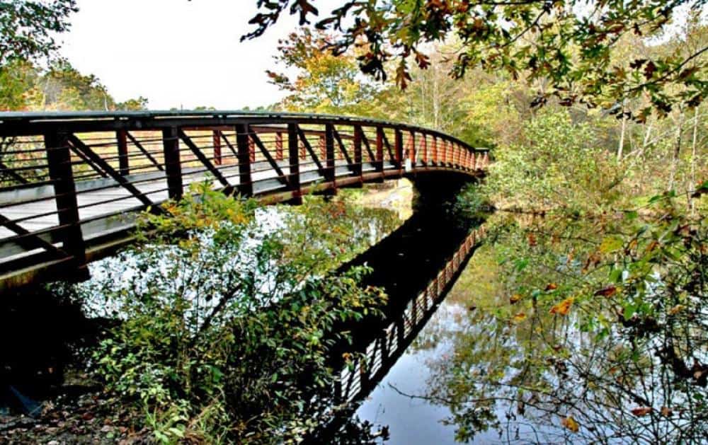best bass fishing lakes in Delaware - Killens Pond