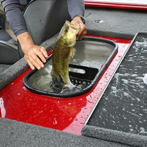 lund bass boats - 1775 Renegade Aft Livewell