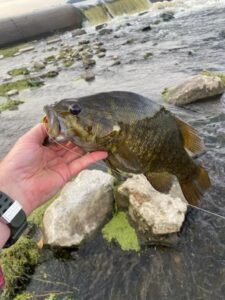 October Bass Fishing
