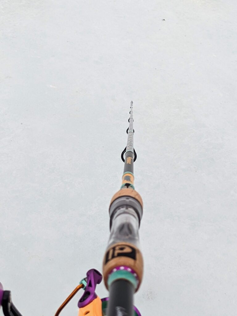 profishiency krazy 3 spinning rod behind guides view