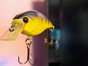crank baits for bass