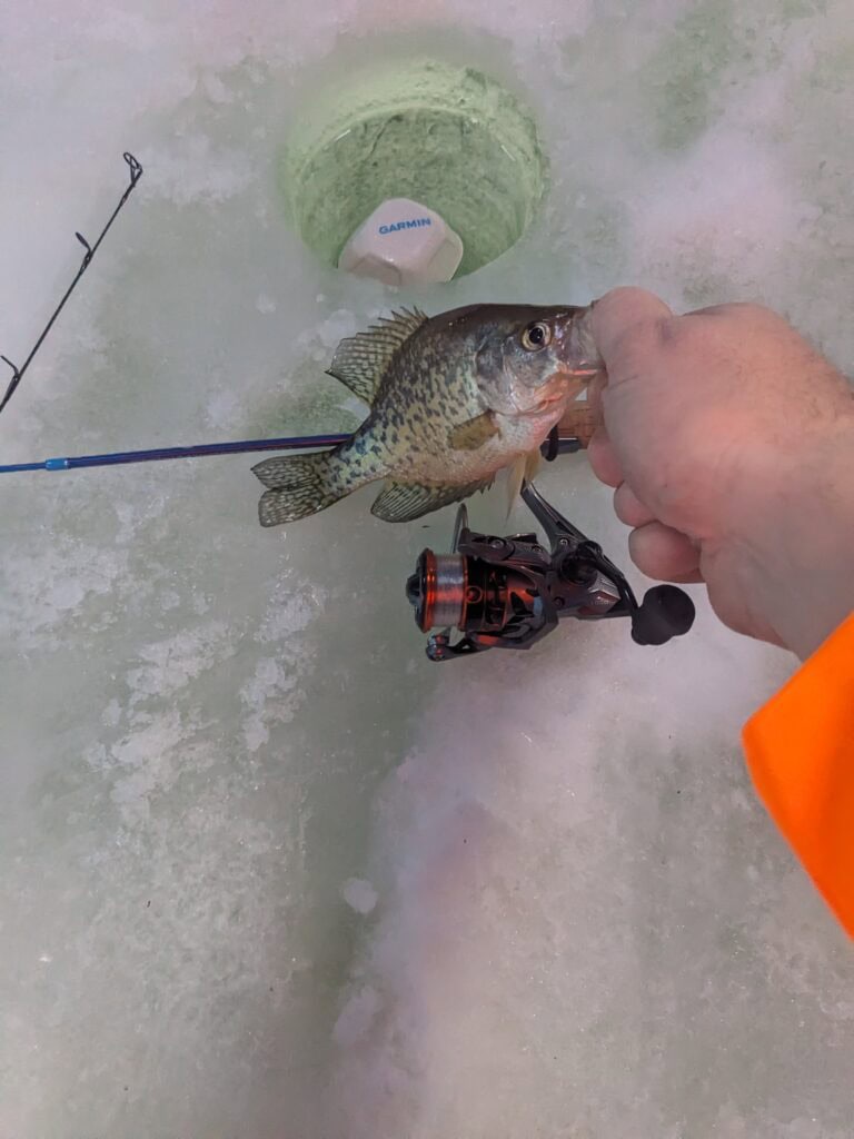 KastKing Kestrel ice fishing reel and rod next to recently caught crappie and ice hole