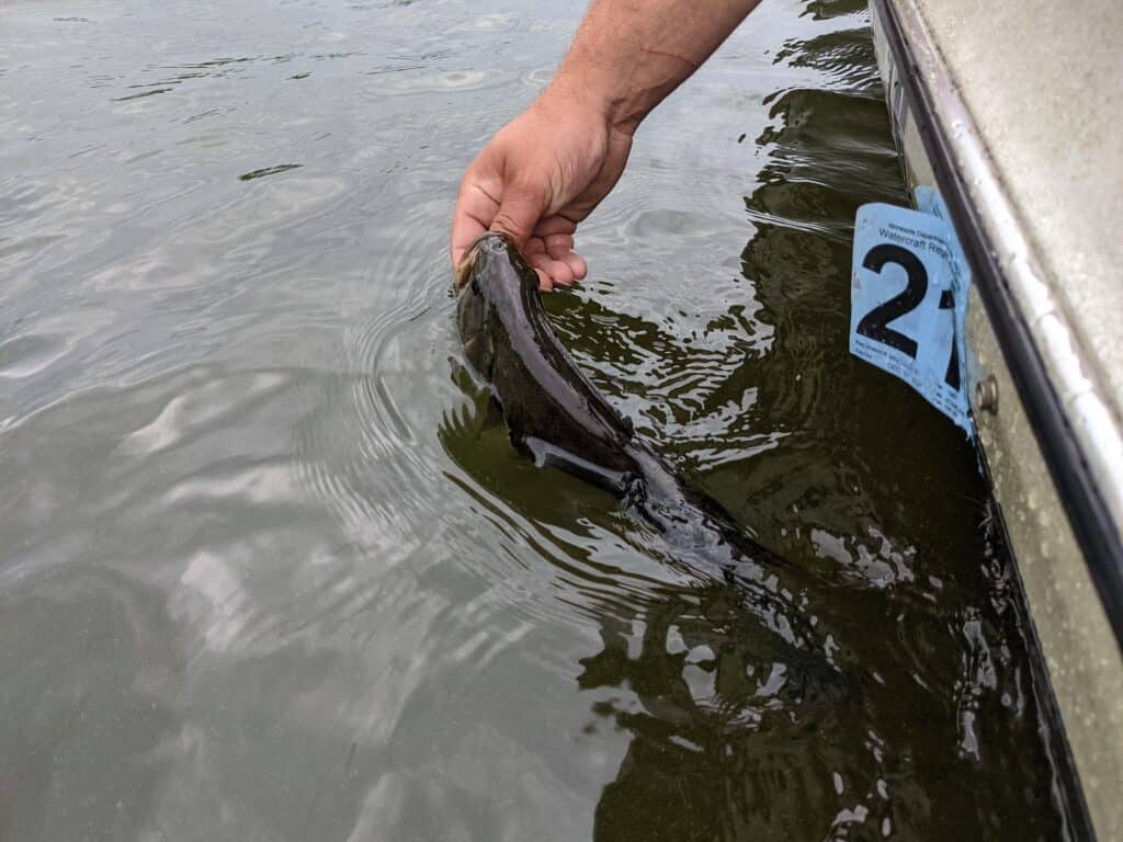 April bass fishing release